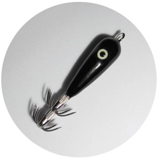 MATAKI SQUID