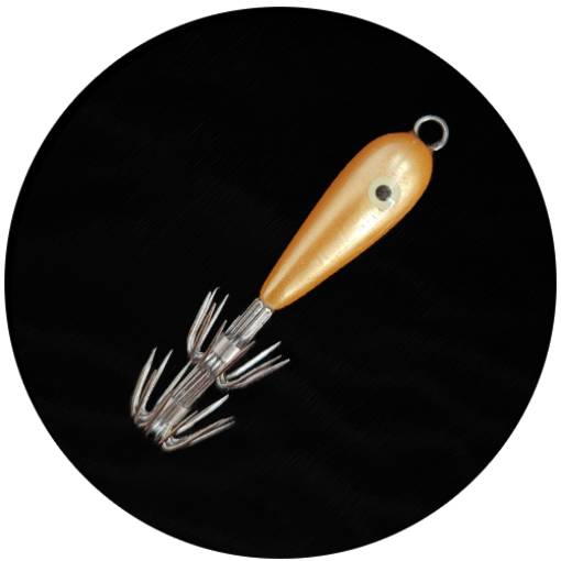 MATAKI SQUID