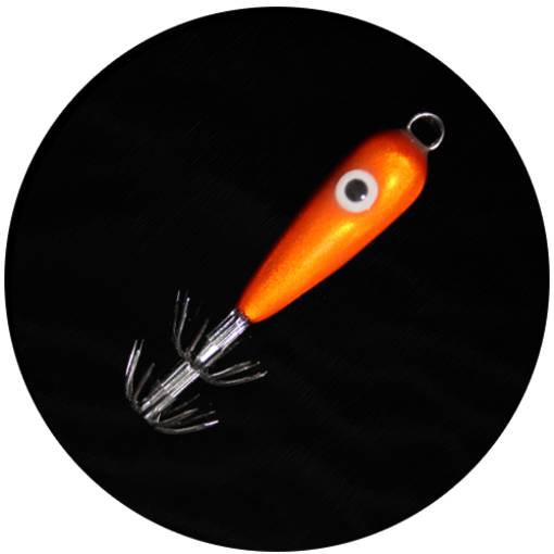 MATAKI SQUID
