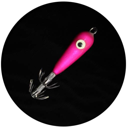 MATAKI SQUID