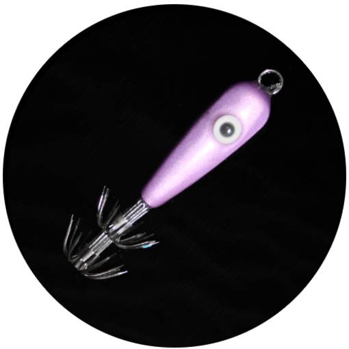 MATAKI SQUID