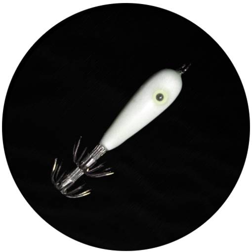 MATAKI SQUID