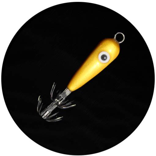 MATAKI SQUID