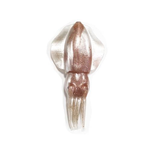 NESA LURES CUTTLE