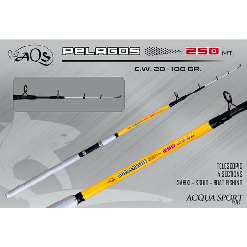 AQS PELAGOS TELE 2,5m20-100g