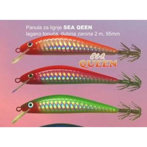 TRITON SQUID PANULA SEA QUEEN GREEN