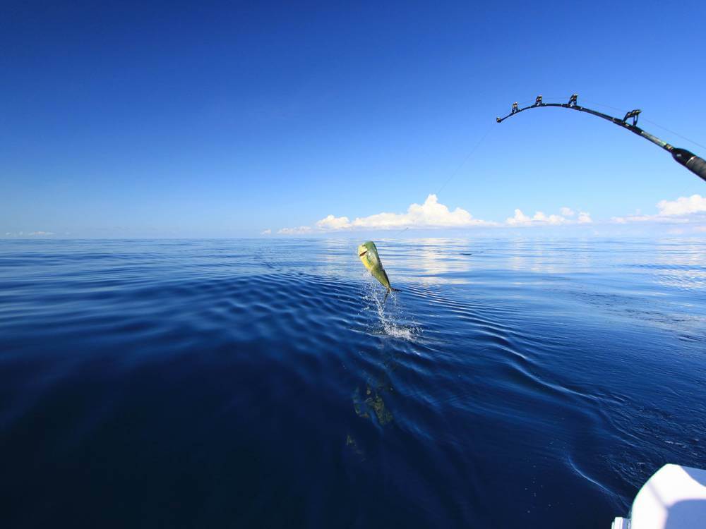 Pesca en el mar