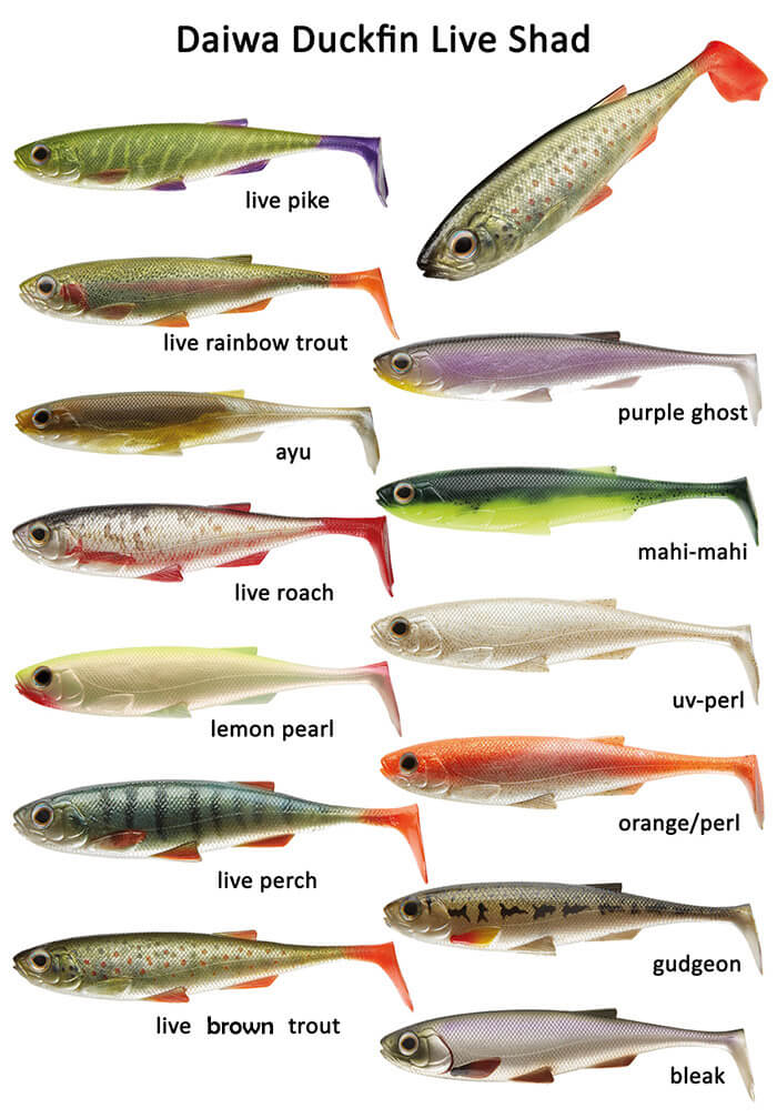 daiwa duckfin liveshad