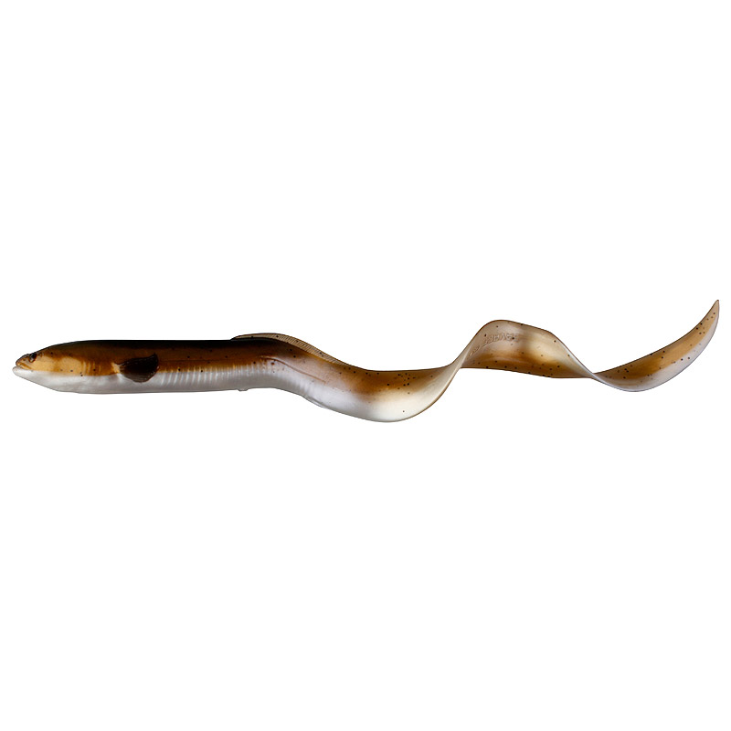 Real eel 20cm Clearance
