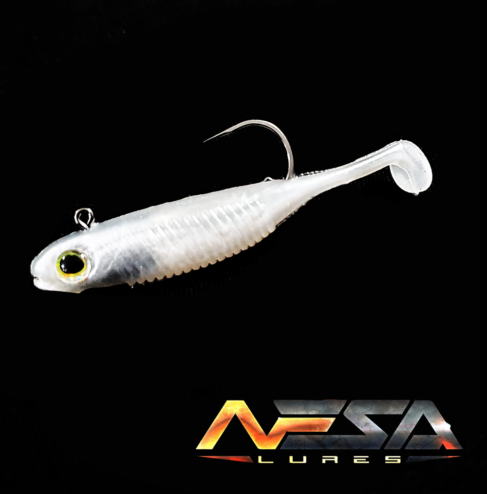 NESA LURES SEA BASS SHAD 12cm 20g 2pcs 